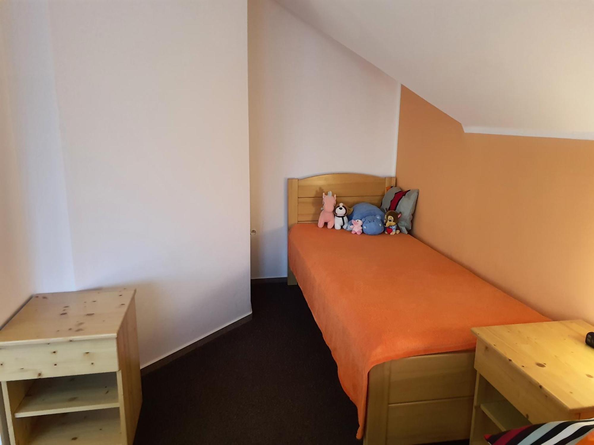 רוקיטניצה נאד איז'רו Apartmany - Privat Pacholik מראה חיצוני תמונה