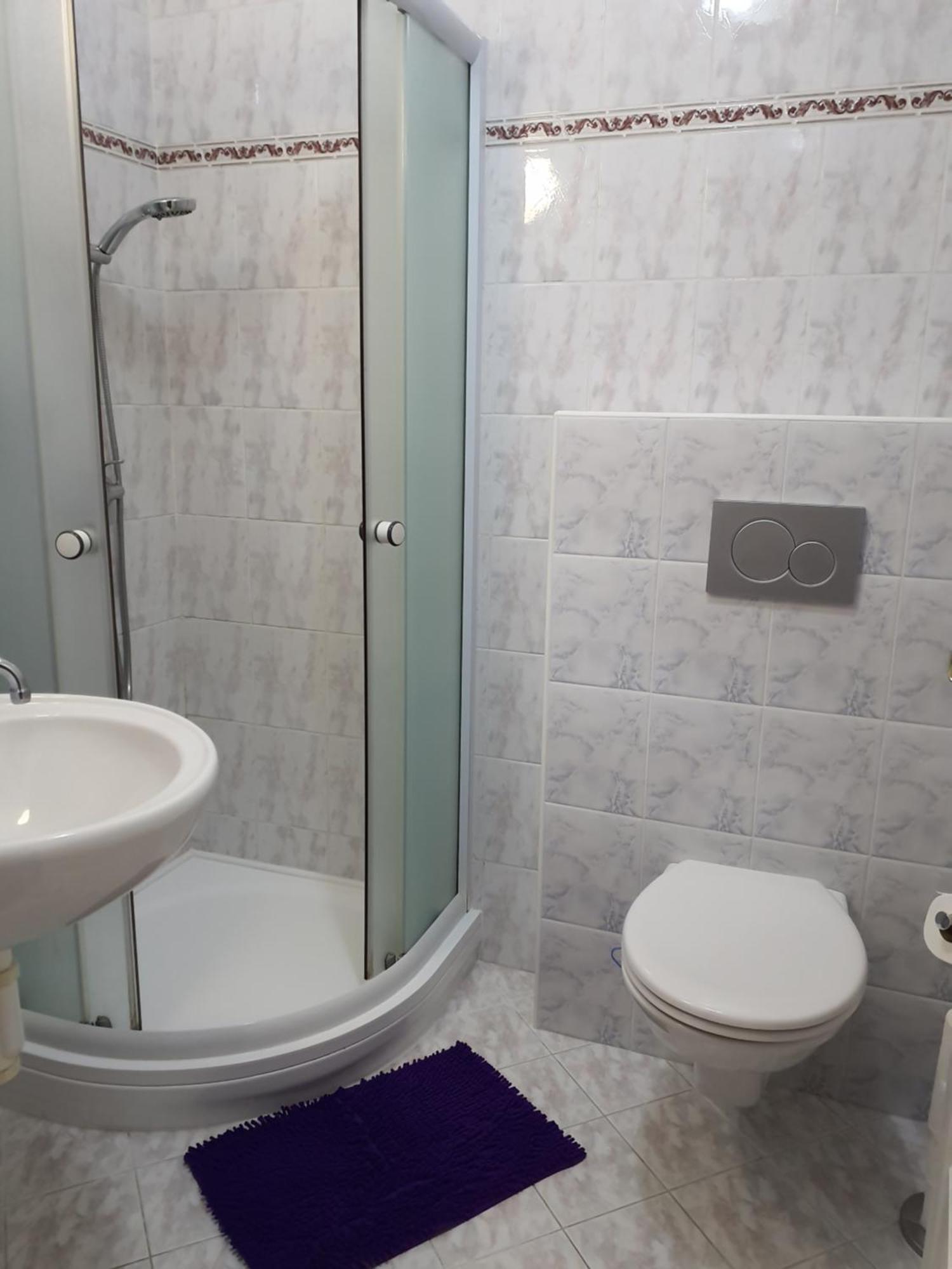 רוקיטניצה נאד איז'רו Apartmany - Privat Pacholik מראה חיצוני תמונה