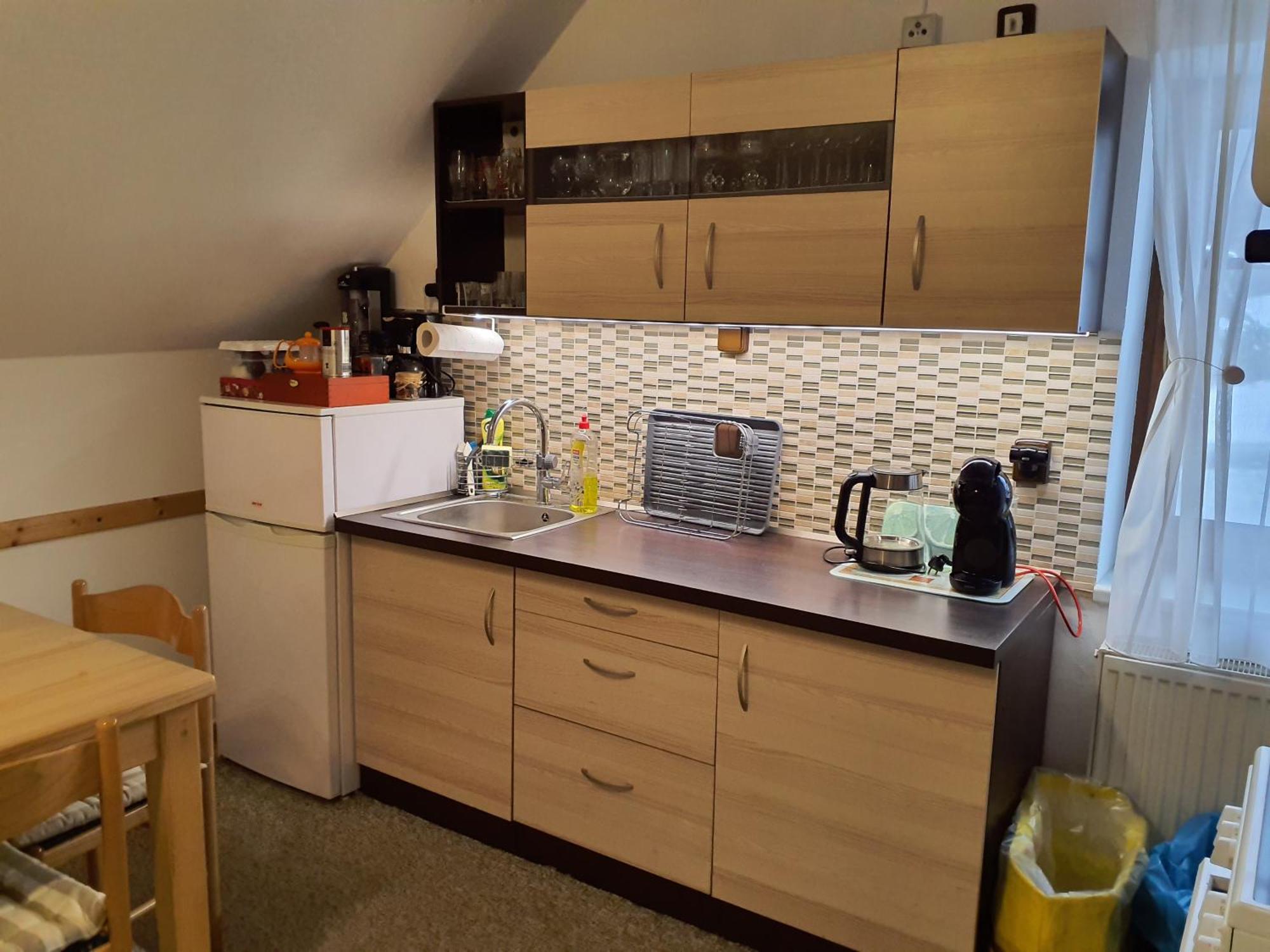 רוקיטניצה נאד איז'רו Apartmany - Privat Pacholik מראה חיצוני תמונה